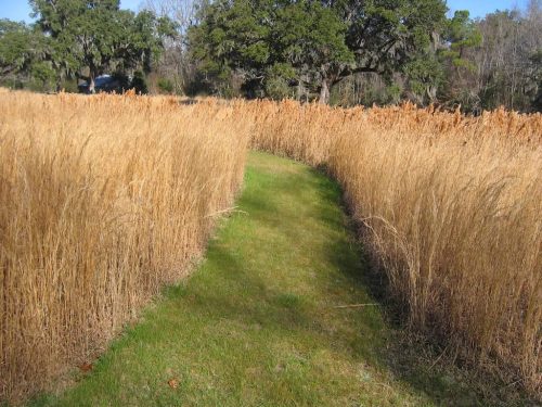 Remark-Studio-Commercial-Landscaping-28