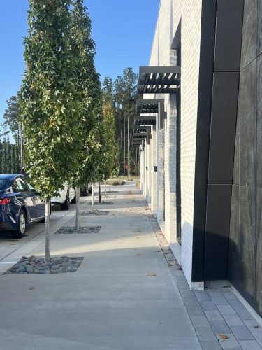 Remark-Studio-Commercial-Landscaping-32