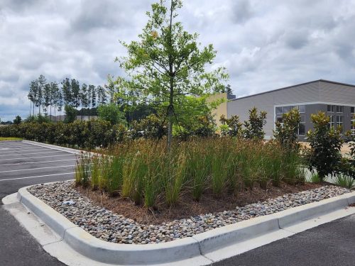 Remark-Studio-Commercial-Landscaping-4