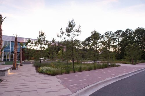 Remark-Studio-Commercial-Landscaping-46