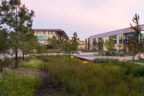 Remark-Studio-Commercial-Landscaping-47