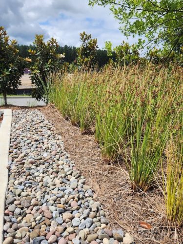 Remark-Studio-Commercial-Landscaping-5