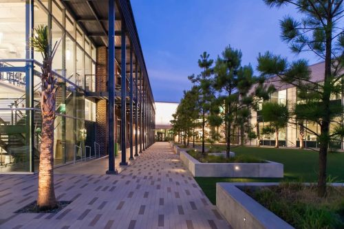 Remark-Studio-Commercial-Landscaping-52