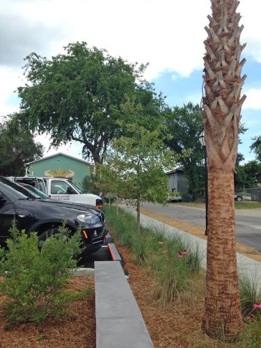 Remark-Studio-Commercial-Landscaping-67