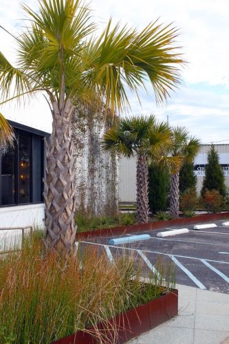 Remark-Studio-Commercial-Landscaping-78