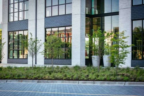 Remark-Studio-Commercial-Landscaping-82