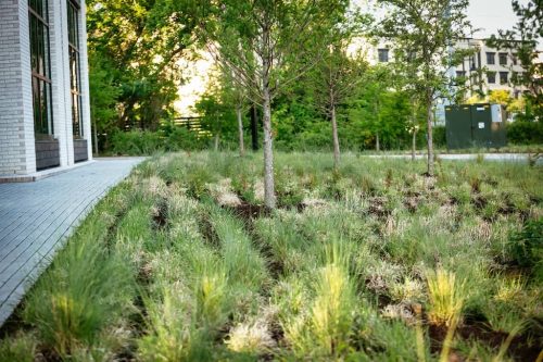 Remark-Studio-Commercial-Landscaping-83