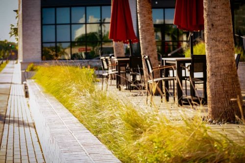 Remark-Studio-Commercial-Landscaping-84