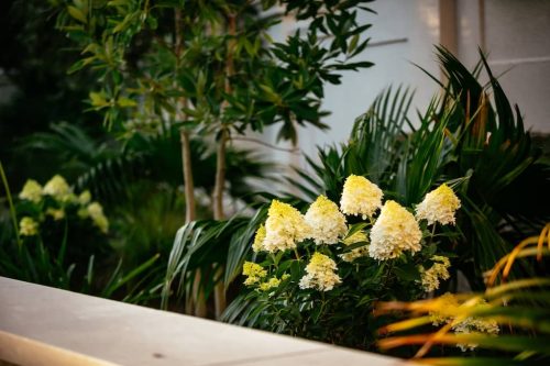 Remark-Studio-Residential-Landscaping-103