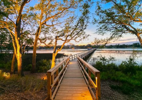 Remark-Studio-Residential-Landscaping-78