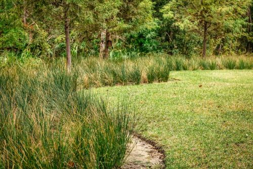 Remark-Studio-Residential-Landscaping-9