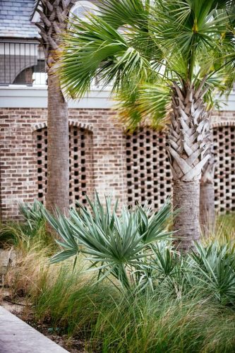 Remark-Studio-Residential-Landscaping-94